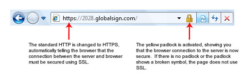 SSL INFO SSL INFO