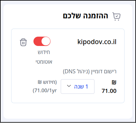 תיבת "ההזמנה שלכם", המופיעה מצד שמאל של עגלת הקניות, מציגה את מחיר רישום הדומיין ומאפשרת לבחור האם לחדש אותו אוטומטית ולכמה שנים.