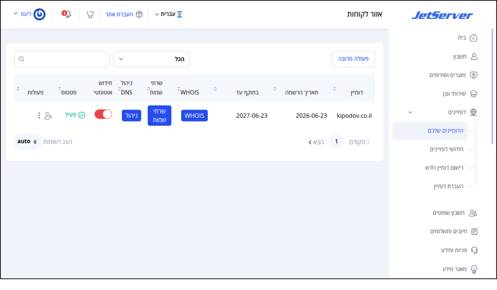 עמוד ניהול הדומיינים באיזור הלקוחות של Jetserver.