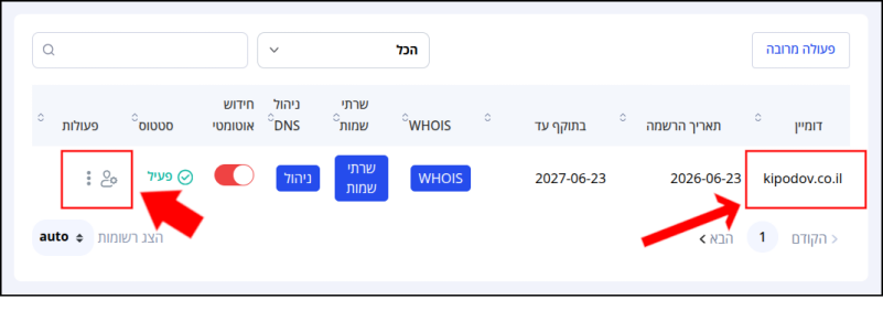שם הדומיין וסמל פעולות (פעולות לביצוע על הדומיין), בפאנל ניהול הדומיינים, ממוסגרים באדום ומסומני בחיצים.