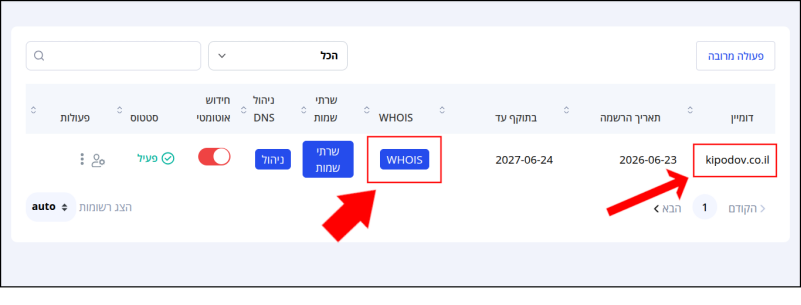 הדומיין וכפתור WHOIS (תחת עמודת WHOIS) ממוסגרים באדום. 