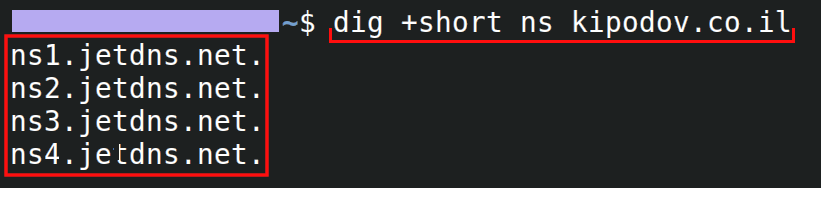 צילום מסך של כיצד פקודת dig +short ns  מראה את שרתי השמות של הדומיין.