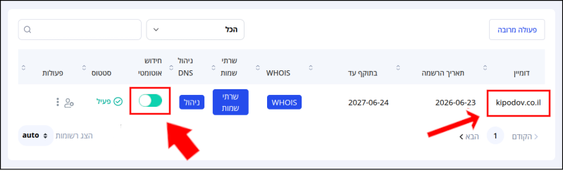 שם הדומיין ומתג הגדרת חידוש אוטומטי לדומיין, בפאנל ניהול הדומיינים, ממוסגרים באדום ומסומני בחיצים.