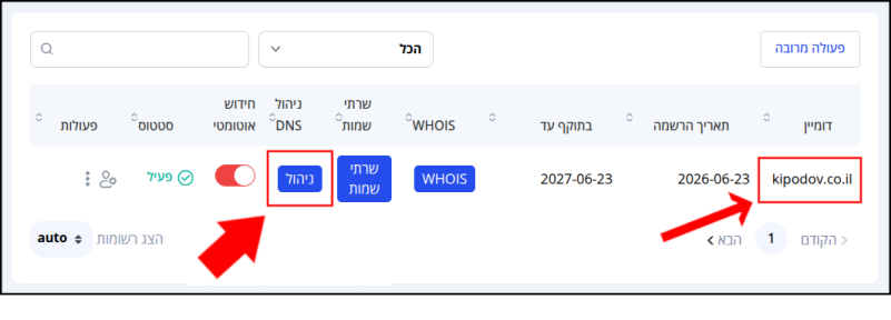 שם הדומיין, וכפתור ניהול (תחת עמודת "ניהול DNS) ממוסגרים באדום בפאנל ניהול הדומיינים.