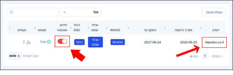 שם הדומיין ומתג הגדרת חידוש אוטומטי לדומיין, בפאנל ניהול הדומיינים, ממוסגרים באדום ומסומני בחיצים.