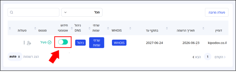 חץ אדום מצביע על מתג הפעלת הגדרת חידוש האוטומטי לדומיין, הממוסגר באדום. 
המתג בצבע טורקיז, כלומר, החידוש האוטומטי מופעל.