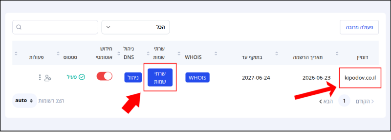 שם הדומיין וכפתור "שרתי שמות", בפאנל ניהול הדומיינים, ממוסגרים באדום ומסומנים בחיצים.