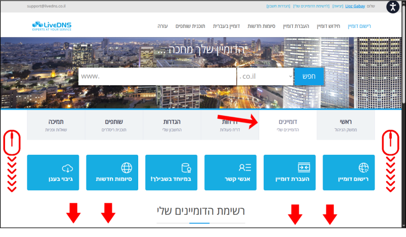 ממשק ניהול הדומיינים של LiveDNS. הכותרת של כרטיסיית דומיינים מסומנת בחץ אדום, וכמה סימונים וחיצים מחווים לגלול את העמוד למטה.