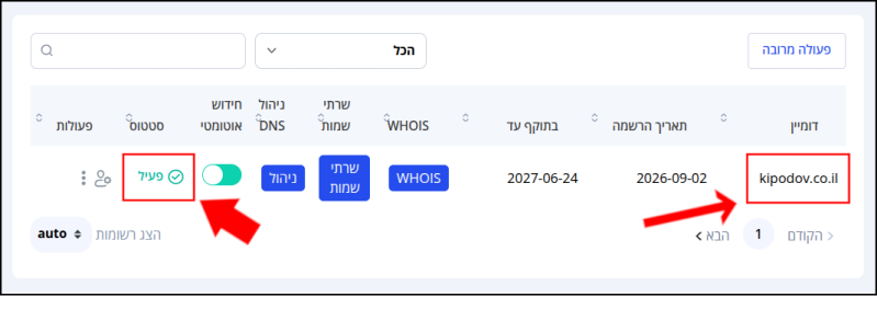פאנל ניהול הדומיינים של Jetserver - דומיין kipodov.co.il, שהועבר מ-LiveDNS, בסטטוס "פעיל" (ההעברה הושלמה).