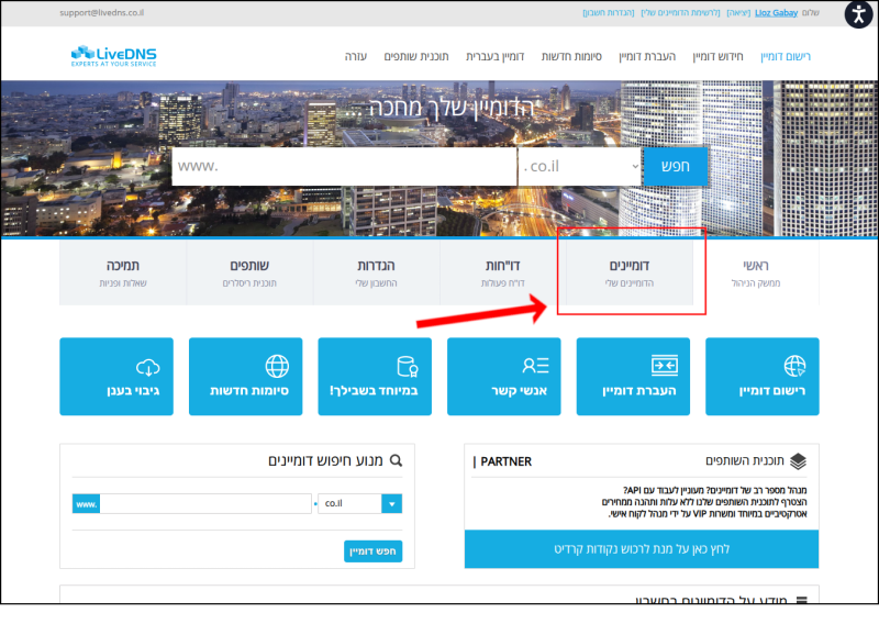 ממשק ניהול הדומיינים של LiveDNS. הכותרת של כרטיסיית דומיינים ממוסגרת באדום.